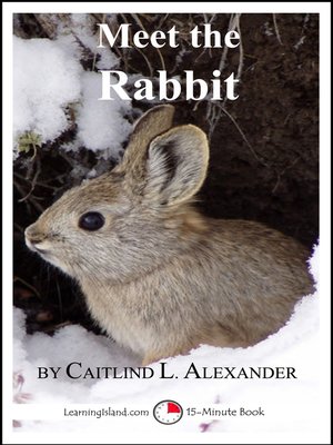 cover image of Meet the Rabbit